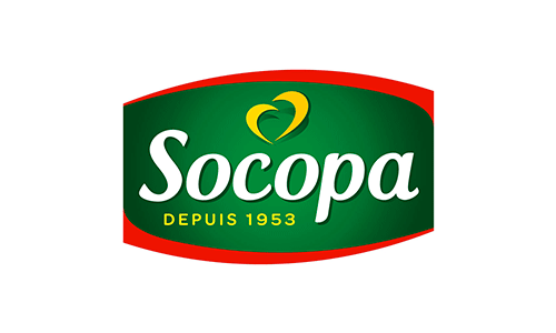 Socopa