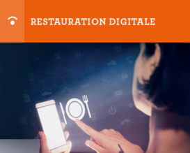 Restauration digitale - FSV